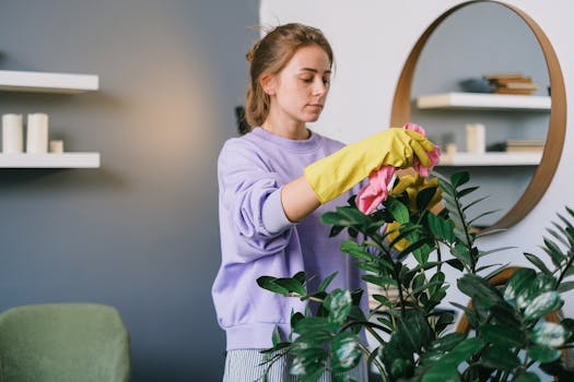 A woman tending to a houseplant indoors, using gloves and a cloth for cleaning.