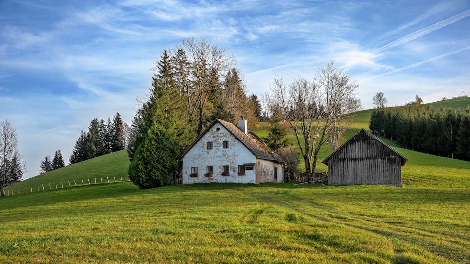 heizöltank reinigung firmen in der nähe - Scenic view of a rustic house and barn in Waidhofen an der Ybbs surrounded by lush green hills under a blue sky.